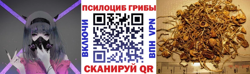 Псилоцибиновые грибы мухоморы  Купить закладки  Краснослободск 